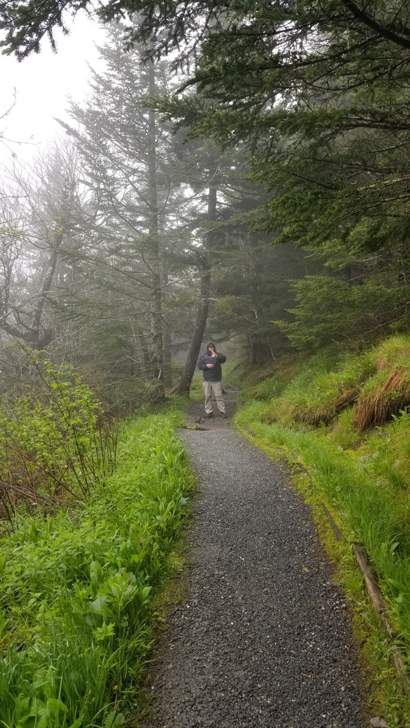 Abrahms Bald Hike 